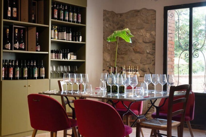 San Gimignano: A Moment of Taste Light lunch & wine tasting 2