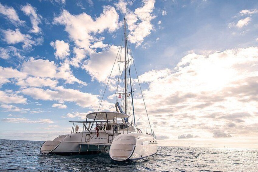 Private 4-Hour Catamaran charter from San Miguel Marina 2