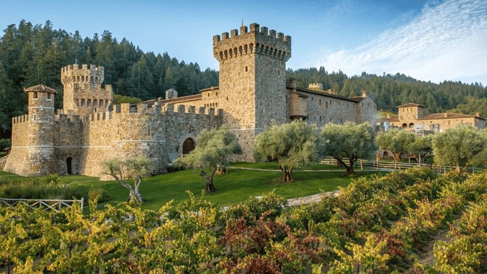 A historic stone castle with towers, surrounded by a vineyard and a forested hill. 3