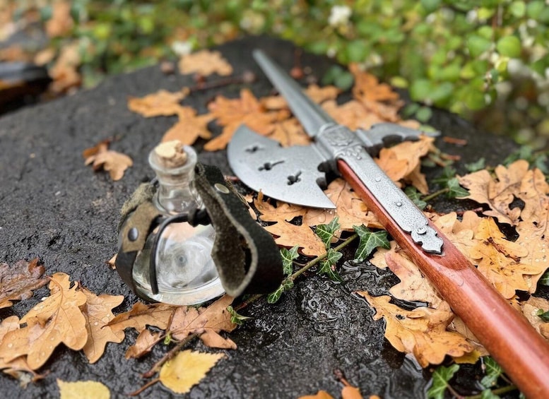 A metal axe with a wooden handle and a glass bottle with a cork on a rock covered with autumn leaves. 5