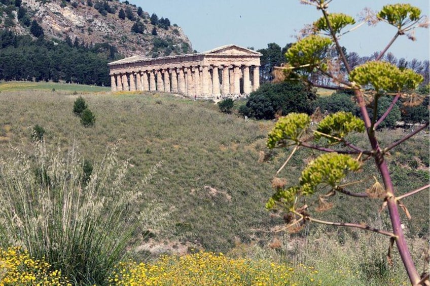 Un bâtiment de style classique, doté de colonnes, entouré d’un champ verdoyant et bordé d’une colline plantée d’arbres. 3