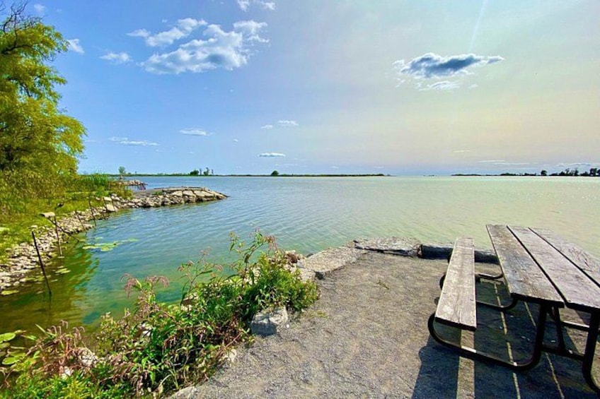 Un lago tranquilo con un muelle de madera y una mesa de picnic, rodeado de vegetación y tierra a lo lejos. 2