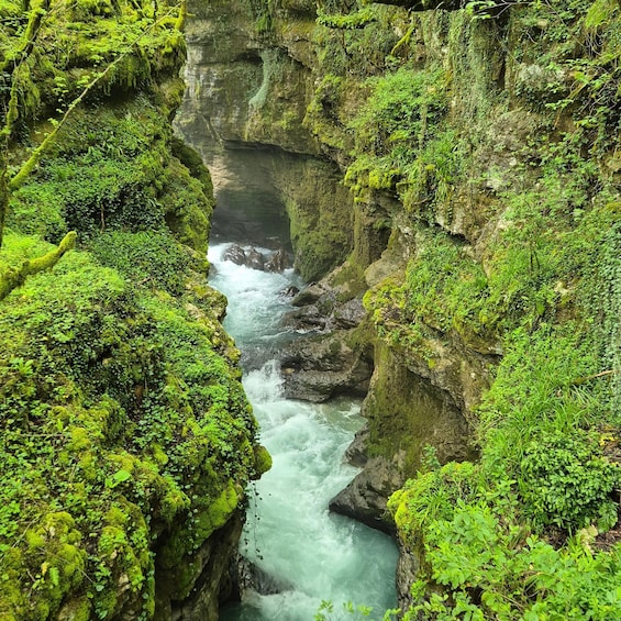 A narrow canyon with a fast-flowing river, surrounded by lush green vegetation. 3