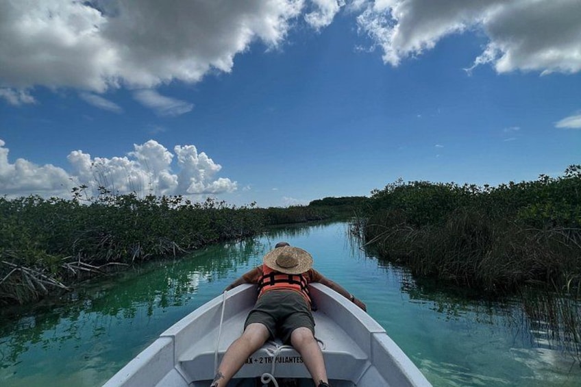 A person in a boat on a calm river surrounded by dense mangrove vegetation. 3