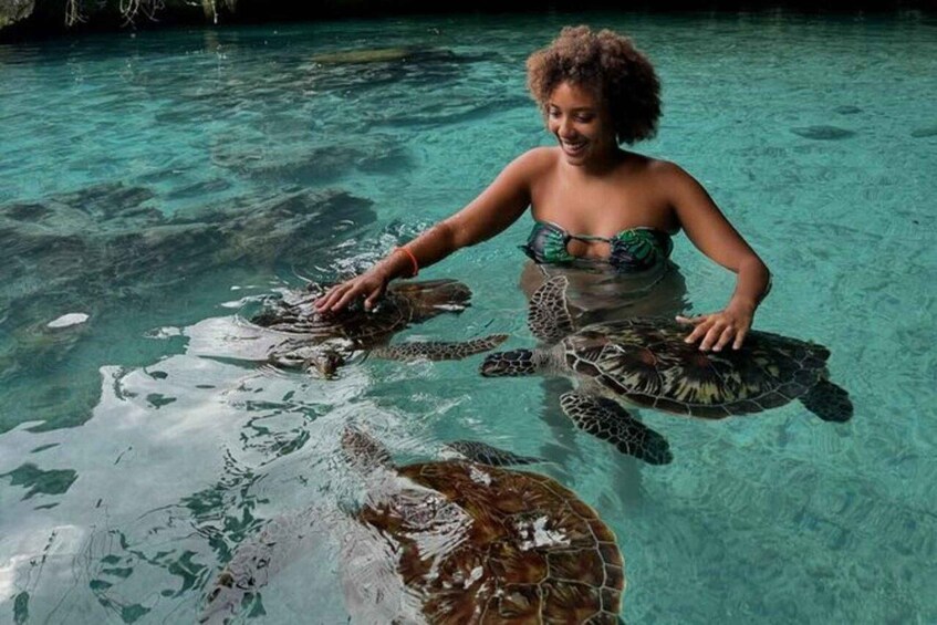 Picture 2 for Activity Zanzibar: Swim with Turtles, The Rock & Mtende Beach 3