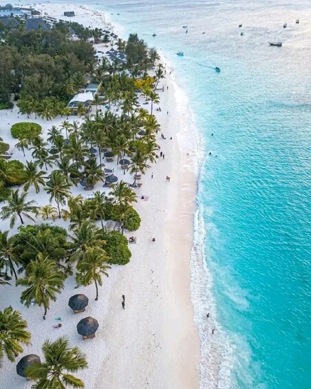 A beach with palm trees and a clear blue ocean. 2