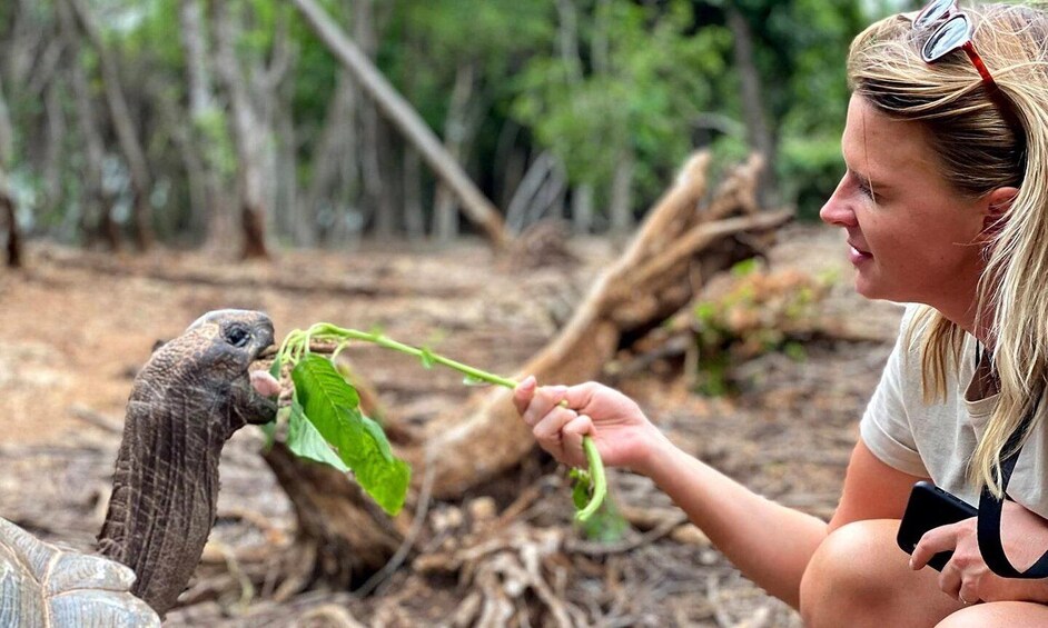 A person interacting with a large bird in a natural setting. 5
