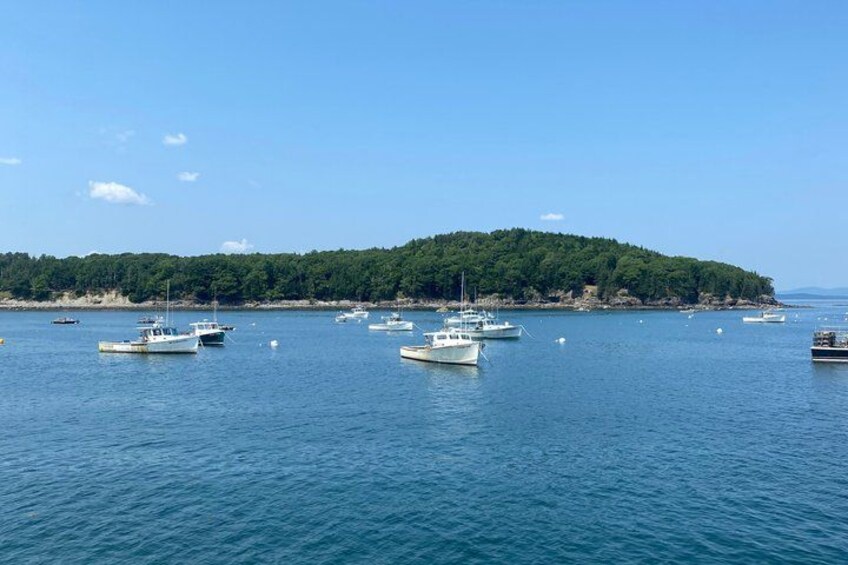 A calm harbor with several boats anchored near a forested island. 3