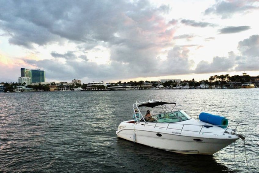 Un barco a motor blanco sobre aguas tranquilas, con un horizonte urbano de fondo. 1
