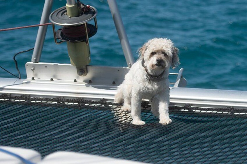 Private catamaran charter 4 hrs 2