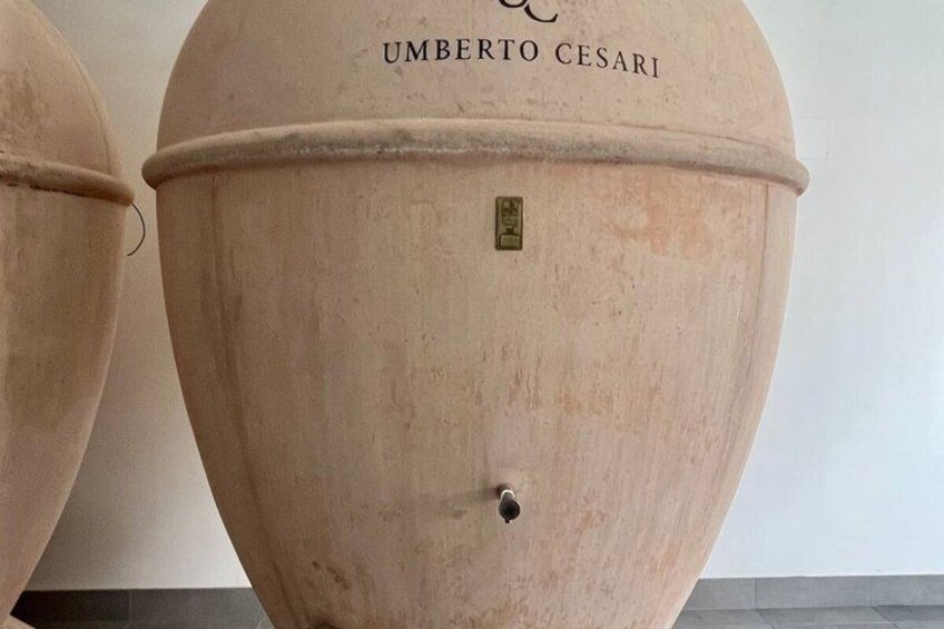 Un vaso di terracotta di grandi dimensioni con l'incisione 'UMBERTO CESARI' e una piccola targhetta in ottone. 2