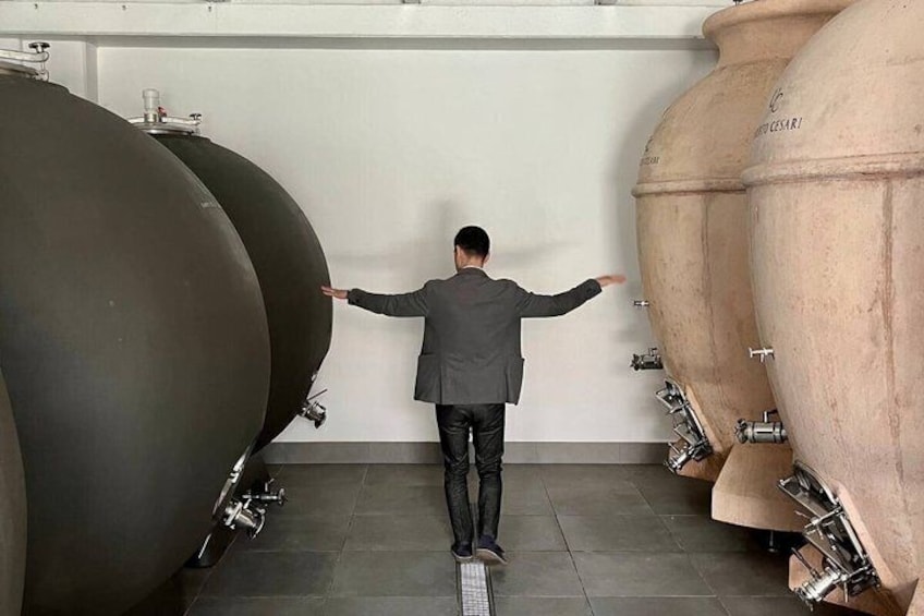 WINE EXPERIENCE - Half Day Tour from Bologna 2