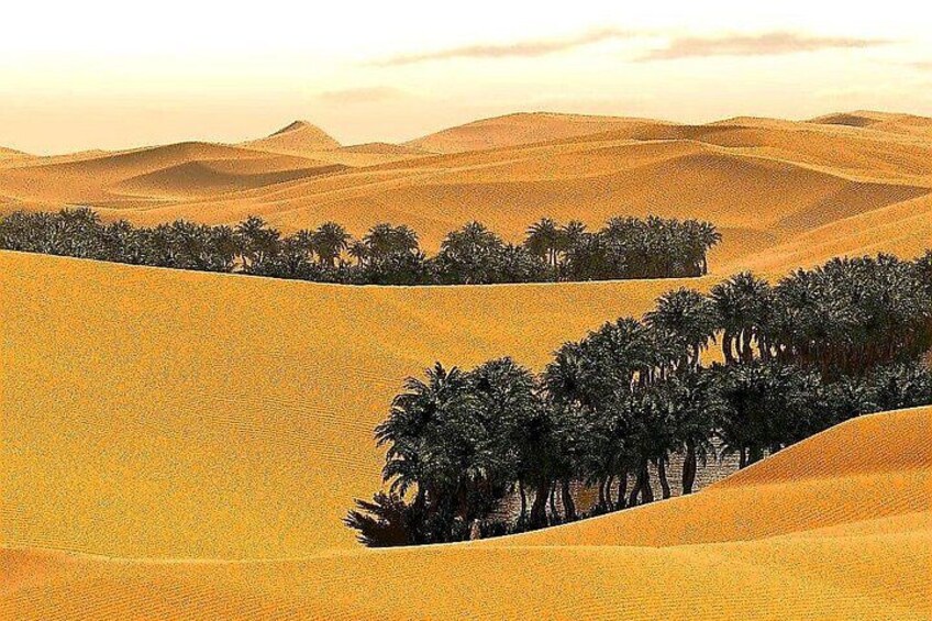 A desert landscape with sand dunes and a row of palm trees. 5