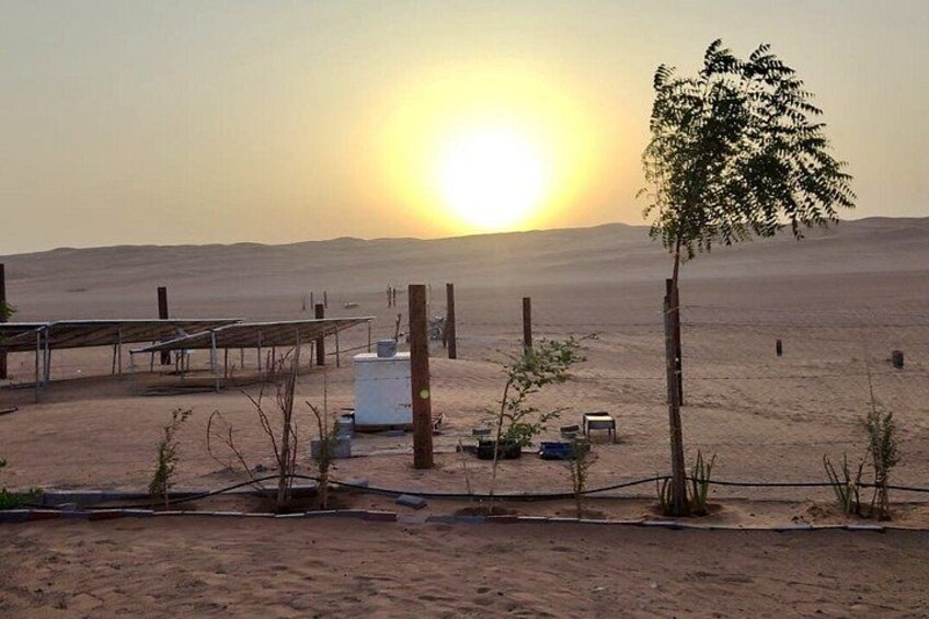 A desert landscape with a sunset, a few trees, and some structures. 4