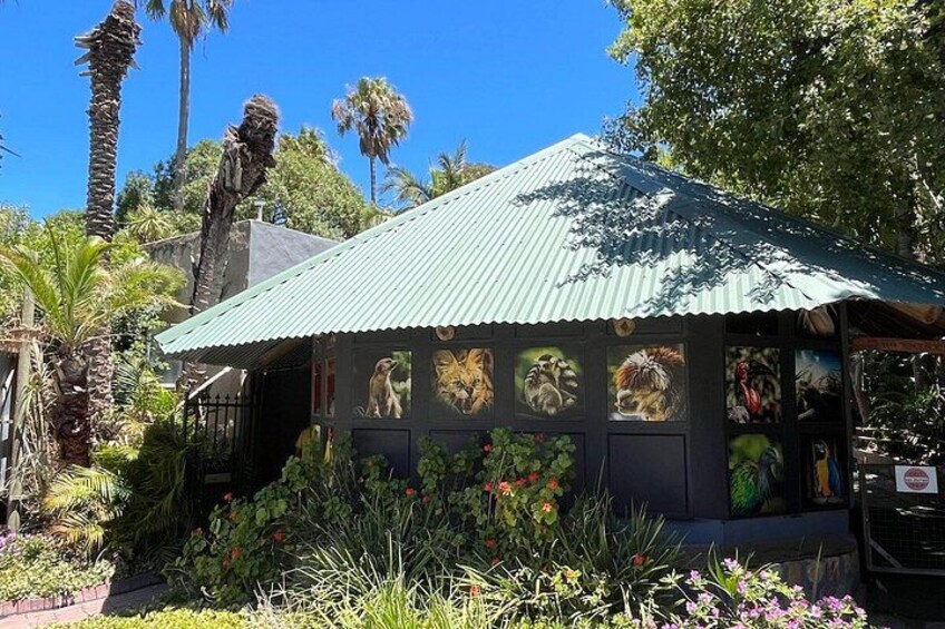 The Ultimate Hout Bay Tour Bird Sanctuary and Seal Island 4