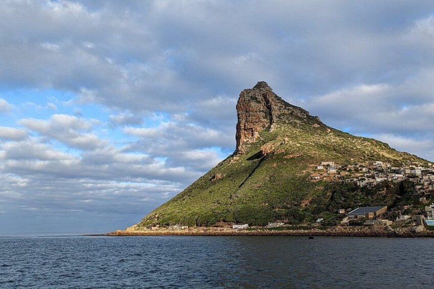 The Ultimate Hout Bay Tour Bird Sanctuary and Seal Island 5
