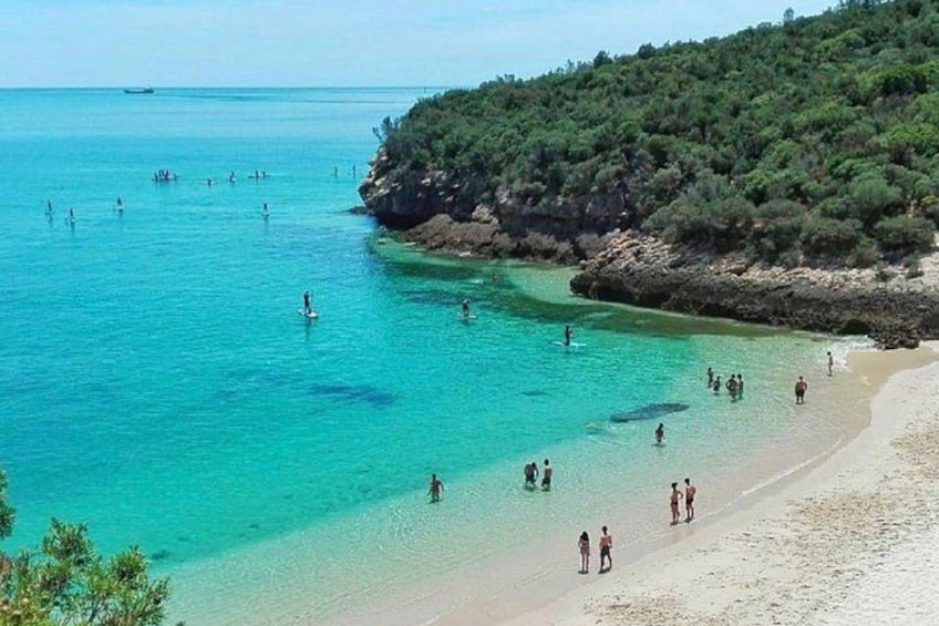 A beach with clear turquoise water, people swimming and walking along the shore, and a rocky cliff with vegetation. 1