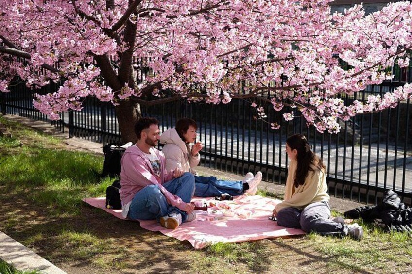 A group of people sitting on a blanket under a cherry blossom tree. 1