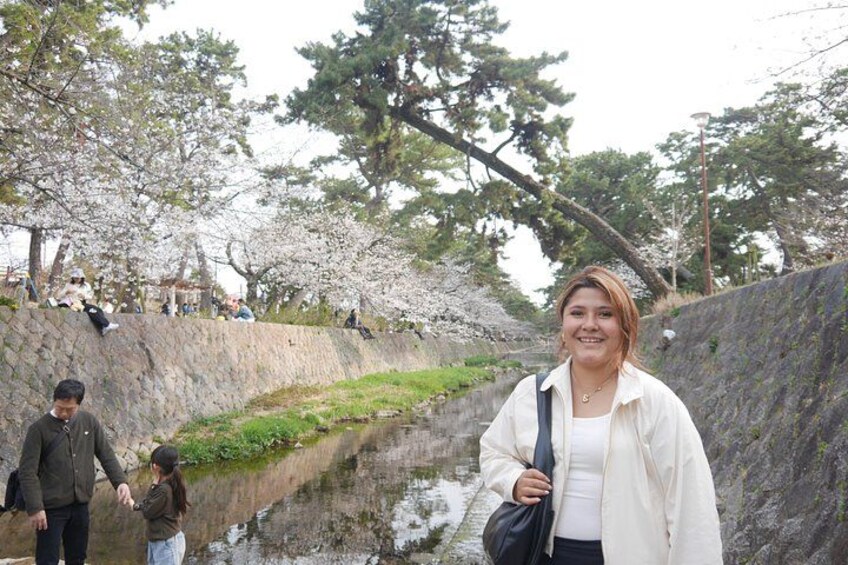 A person standing by a waterway with cherry blossoms in the background. 5