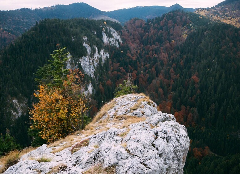 Picture 5 for Activity From Cluj: Apuseni National Park Guided Day Trip 3