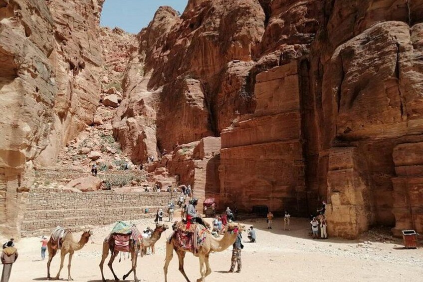 Jordan 3 Day Private Tour in Petra, Wadi Rum and Dead Sea 4