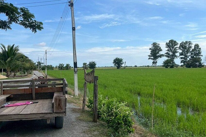 Een landelijk landschap met een vrachtwagen nabij een houten poort, een betonnen paal en een groen veld. 1