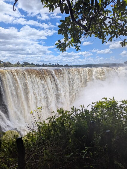 A waterfall with a forested foreground and a clear sky. 1