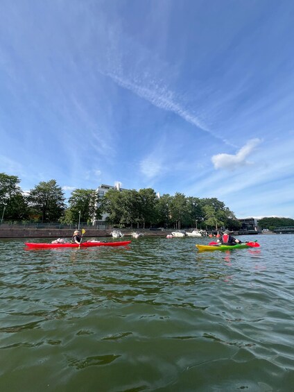 A calm river with kayaks and canoes, trees, and buildings in the background. 4