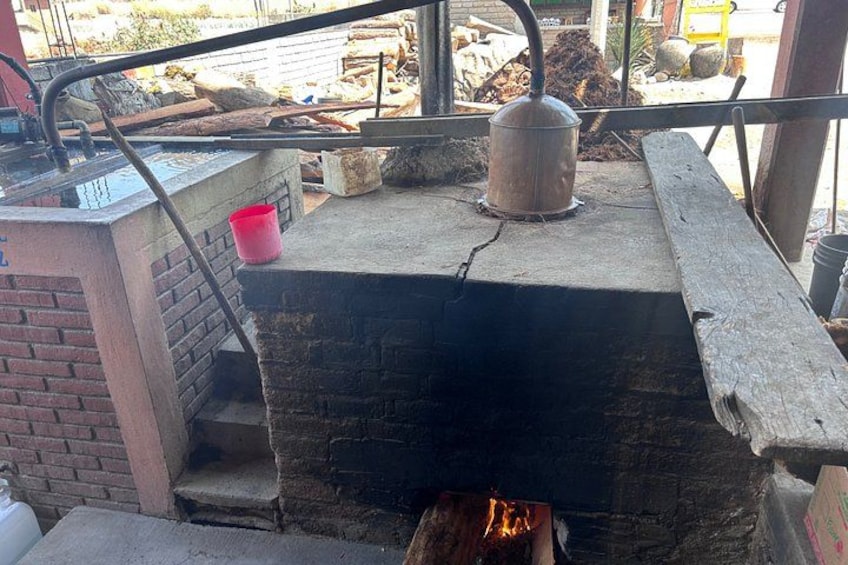 Artisanal Mezcal Experience in Oaxaca: From agave to glass 4
