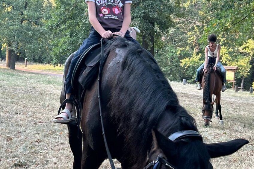 Horseback Trail Adventure in Belgrade 5