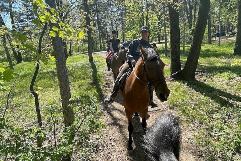 Horseback Trail Adventure in Belgrade 2