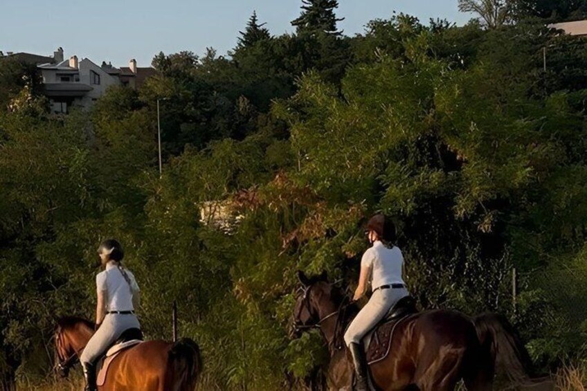 Horseback Trail Adventure in Belgrade 3