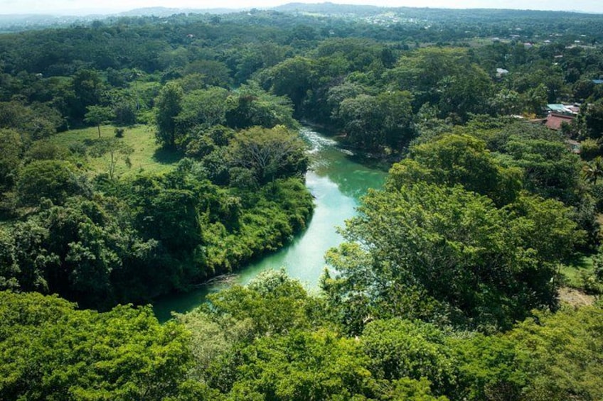 Un río serpentea por un bosque frondoso con un pequeño asentamiento al fondo. 2
