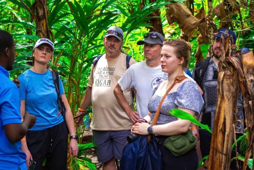 A group of people in a forested area with dense green foliage and trees. 5