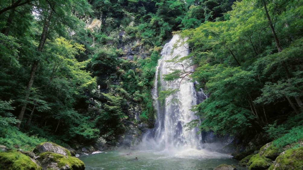 A waterfall surrounded by dense forest. 2