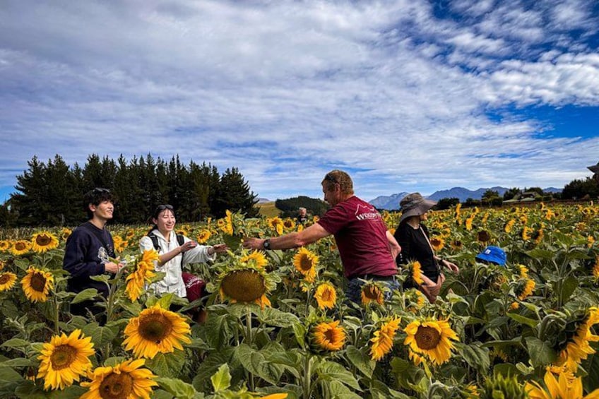Authentic Kiwi Farm Tour at Woodstone Farm 2