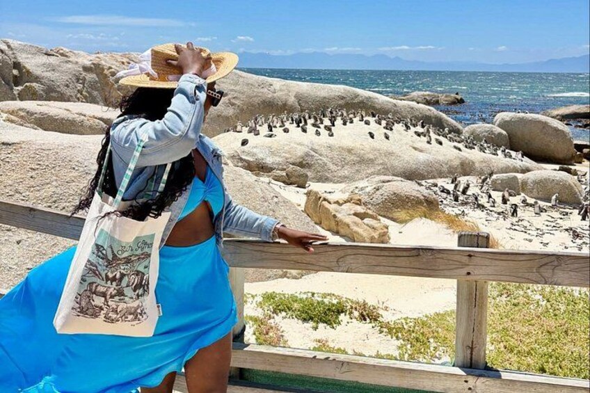 A person leaning on a wooden railing overlooking a rocky beach with penguins. 1
