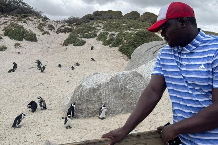 A person in a striped shirt and red cap observing penguins on a sandy beach with rocky outcrops. 4