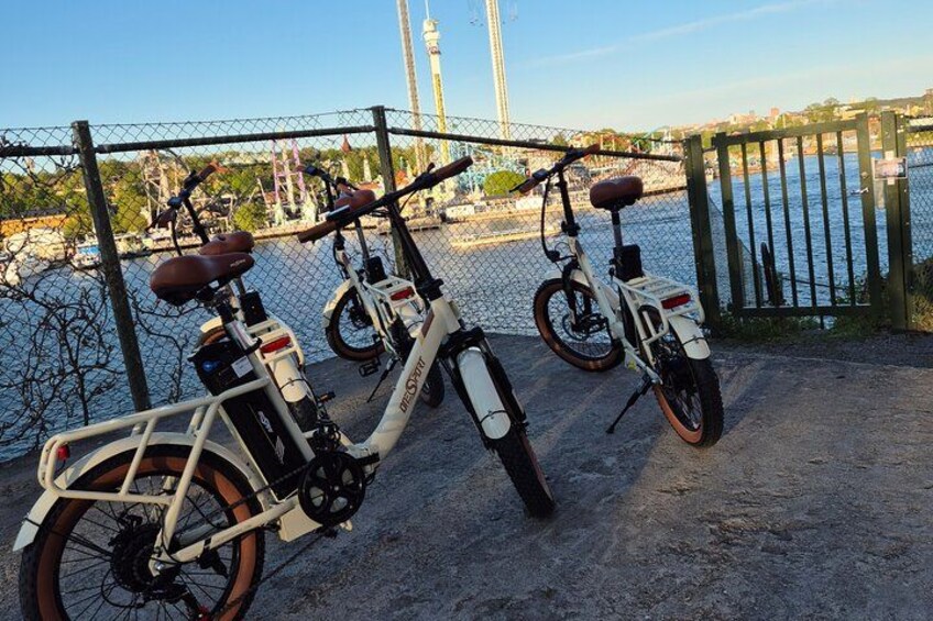 Stockholm E-Bike City Tour 3