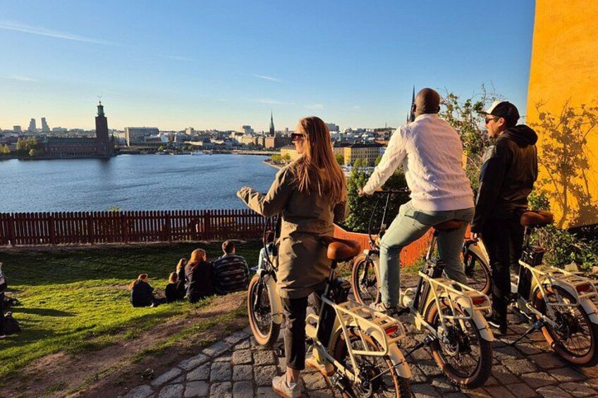 Stockholm E-Bike City Tour 1