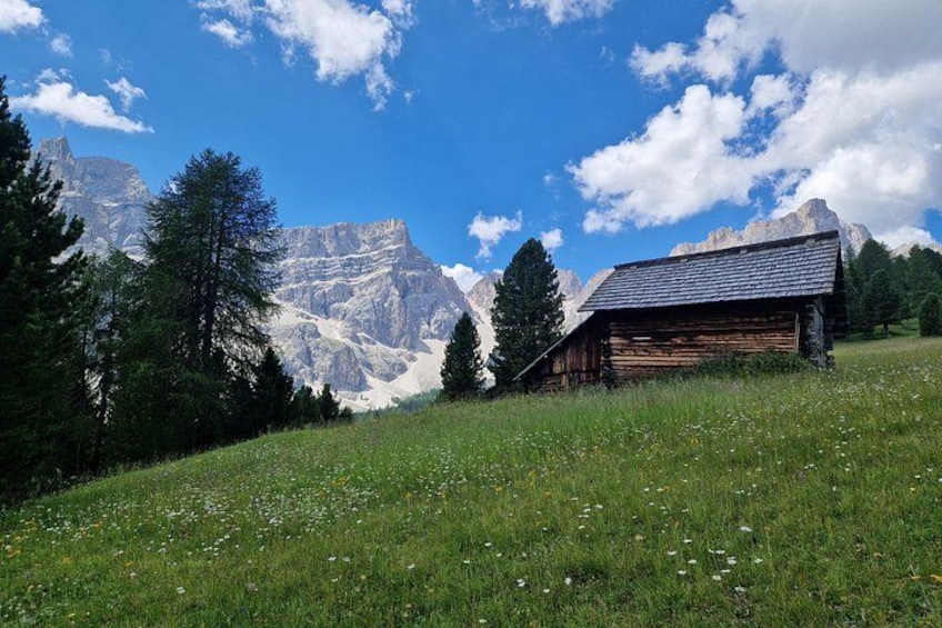 A wooden cabin, a grassy field, and a mountain range. 2