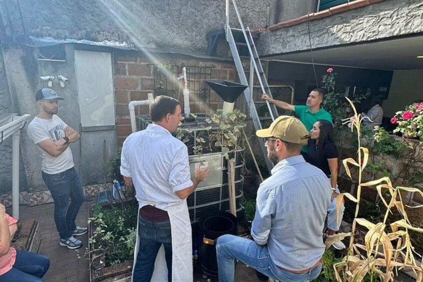 A group of people gathered around a garden area with a ladder and a water feature. 5