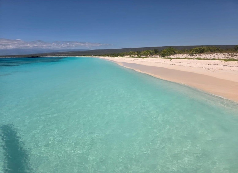 A beach with clear turquoise water and a sandy shore. 5