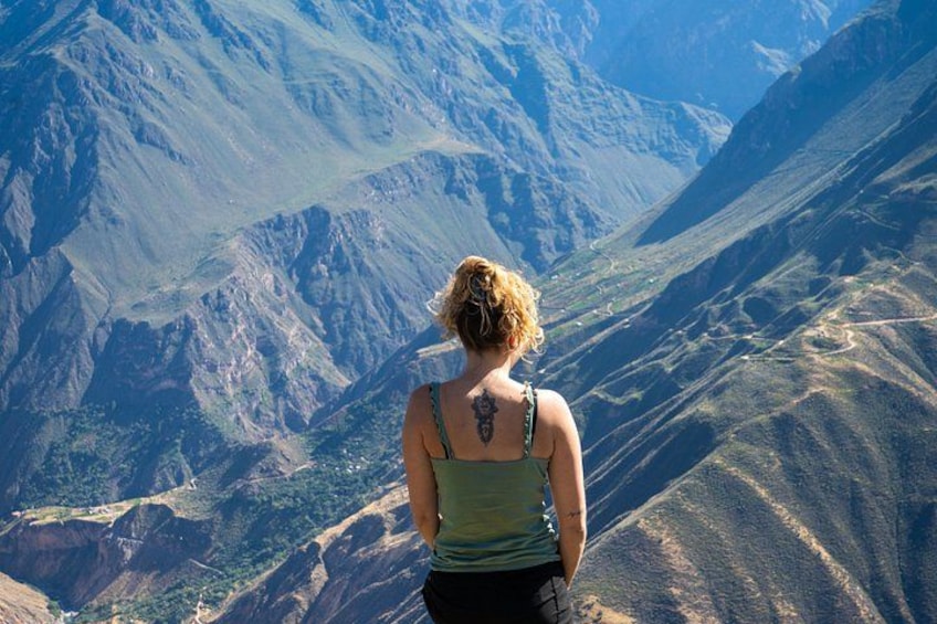 Una persona con i capelli ricci e un tatuaggio sulla schiena, indossa una canotta verde e osserva un paesaggio montuoso. 3