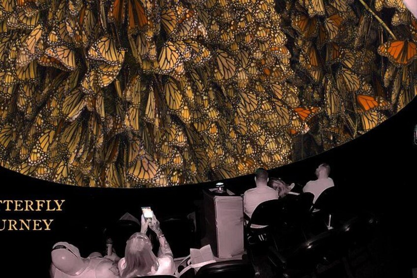 A museum interior with a large butterfly exhibit and visitors observing. 1