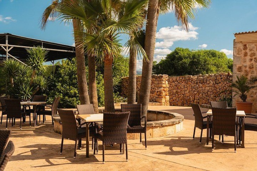 An outdoor patio with wicker furniture, palm trees, and a stone wall. 2