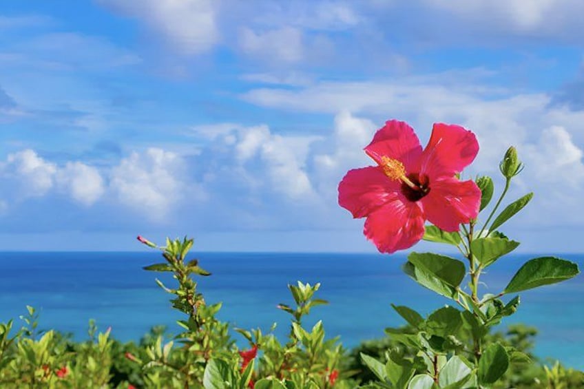 Okinawa Private Custom Tour with Local Guide 1