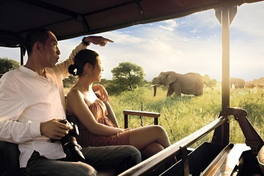 A safari vehicle with a man and a woman observing wildlife, including an elephant in the distance. 2