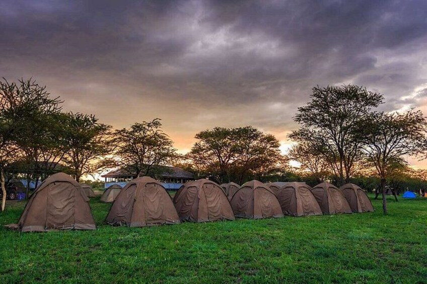 5 Day Group Camping Safari: Tarangire, Serengeti & Ngorongoro 3