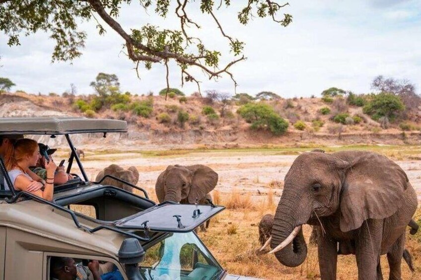 5-Day Epic Tanzania Safari Tour 5